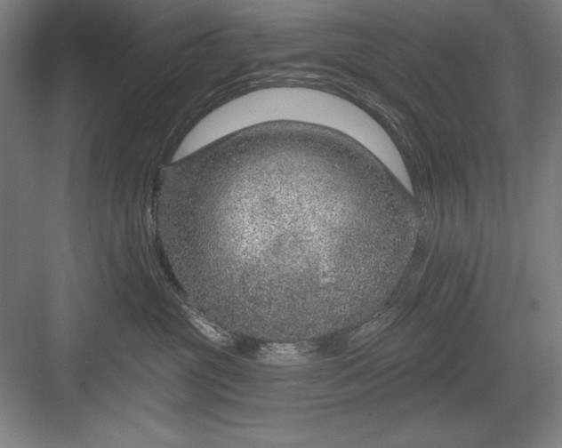 X0000082980381200702160004