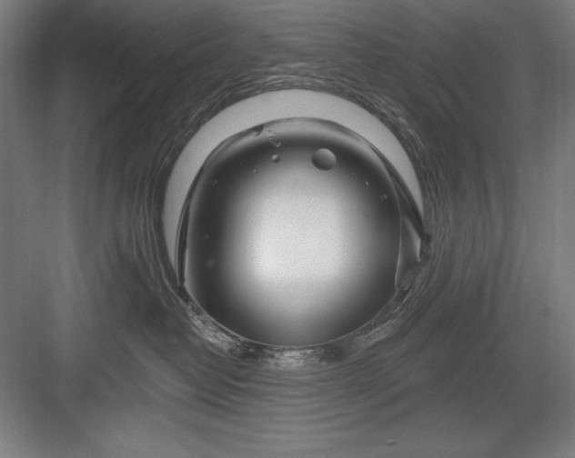 X0000082980382200702160004