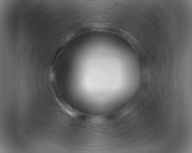 X0000082980383200702160004