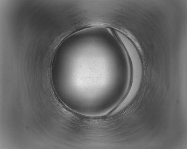 X0000082980385200702160003