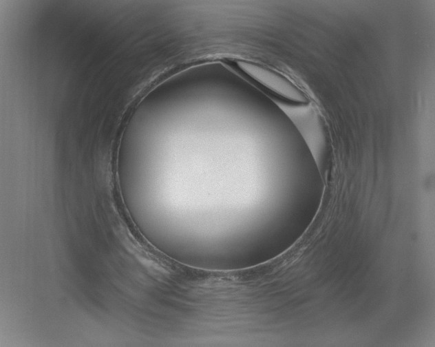 X0000082980386200702160003