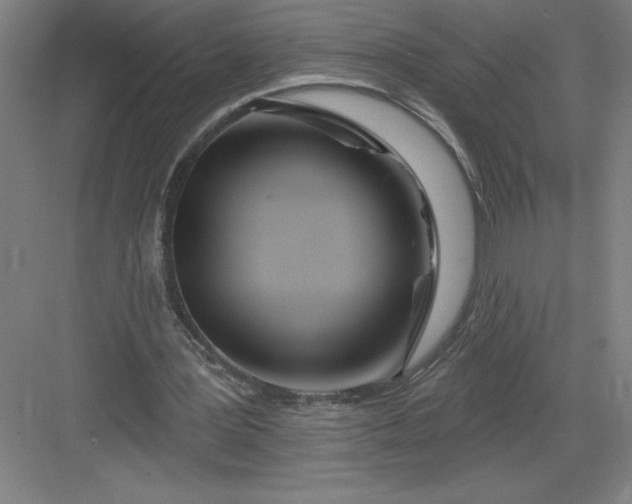 X0000082980387200702160003