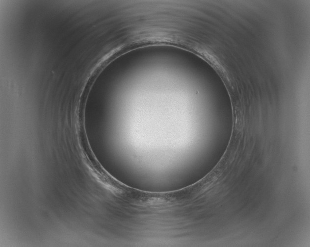 X0000082980390200702160003