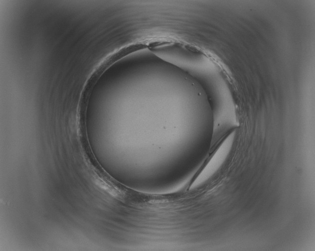 X0000082980391200702160003