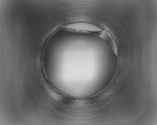 X0000082980394200702160003