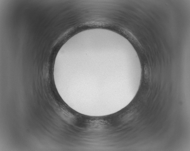 X0000082980396200702160003