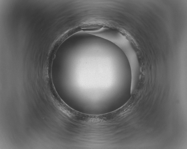 X0000082980399200702160003
