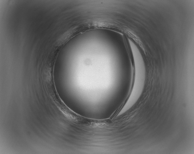 X0000082980401200702160003