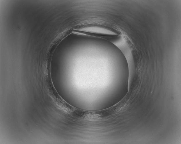 X0000082980403200702160003