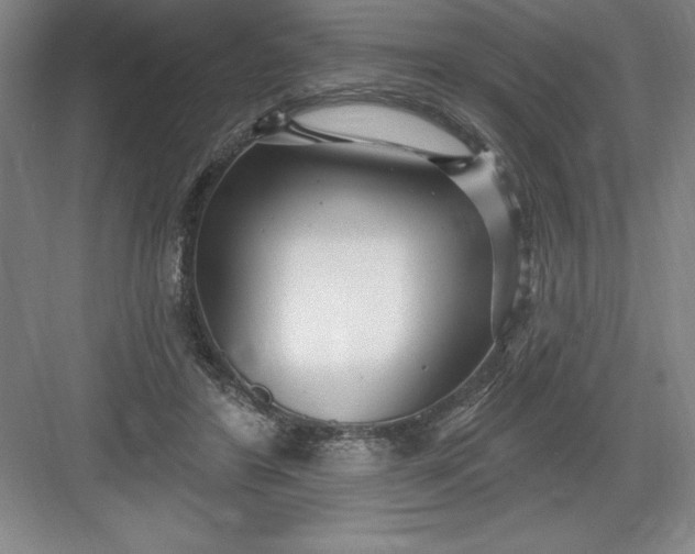 X0000082980404200702160003