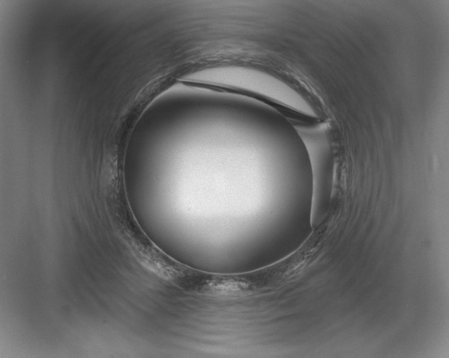 X0000082980407200702160003