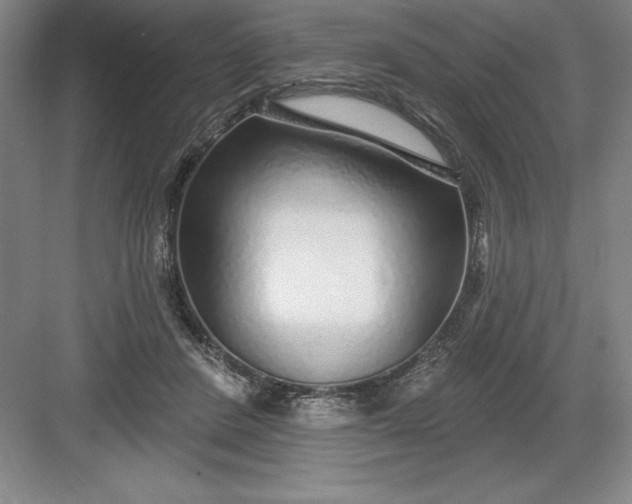 X0000082980408200702160003