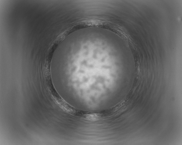 X0000082980411200702160003