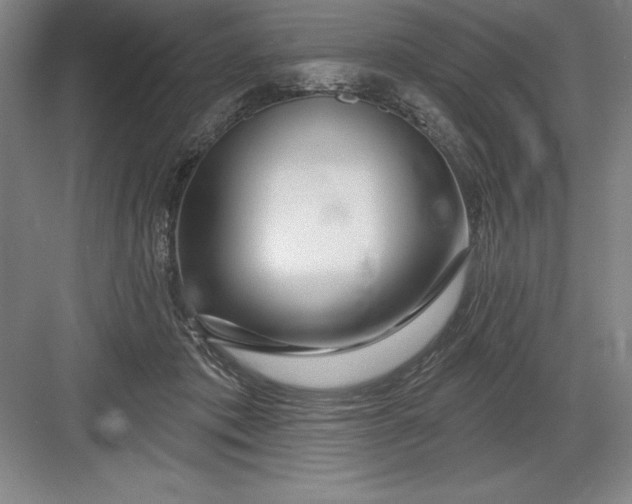 X0000082980413200702160002