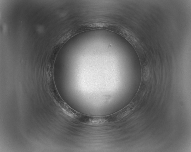 X0000082980414200702160002