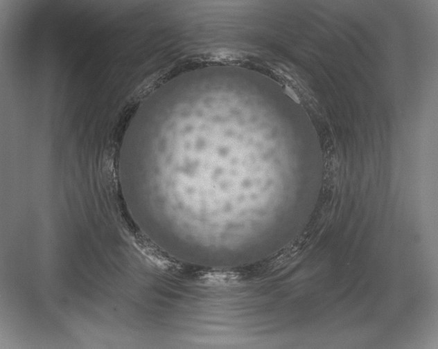X0000082980415200702160002