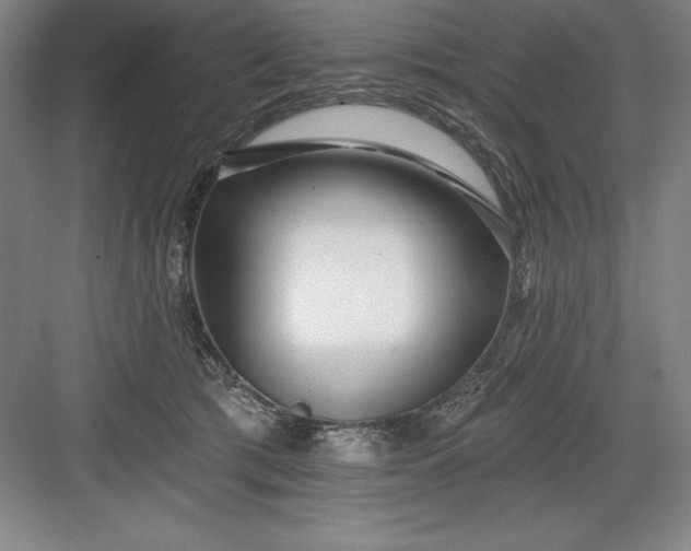 X0000082980417200702160002