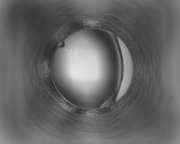 X0000082980420200702160002