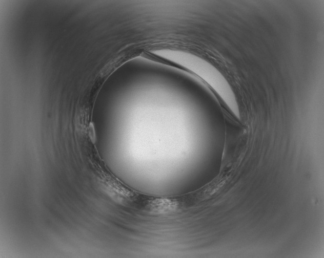 X0000082980421200702160002
