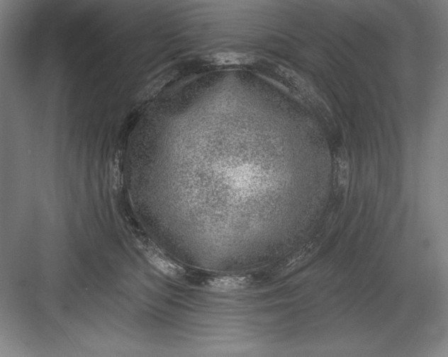 X0000082980422200702160002