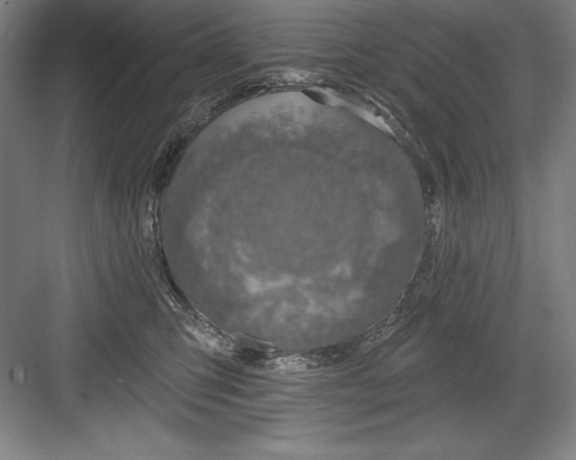 X0000082980423200702160002