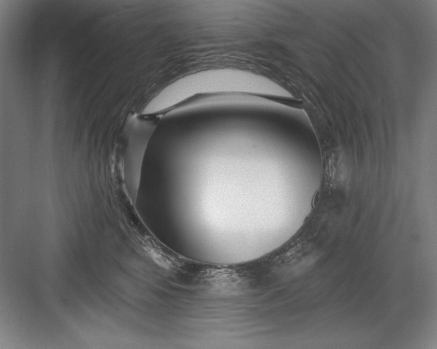 X0000082980424200702160002