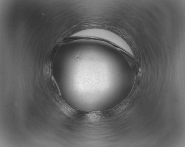 X0000082980425200702160002