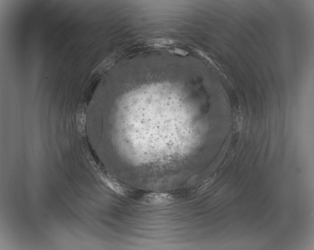 X0000082980427200702160002