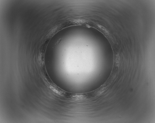 X0000082980428200702160002