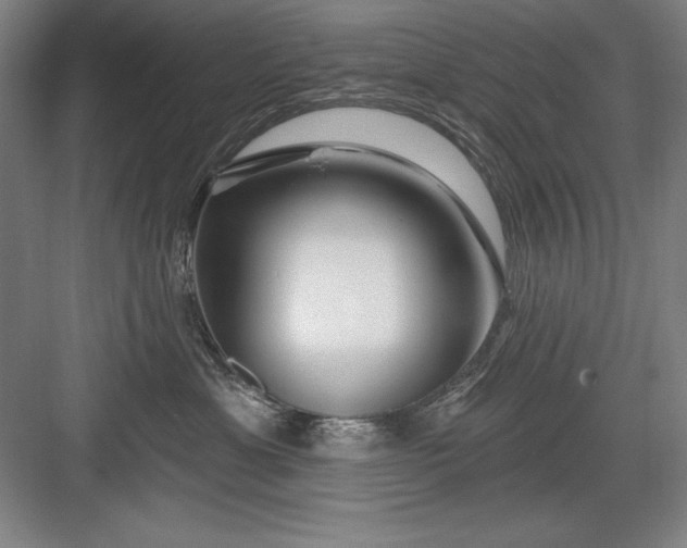 X0000082980429200702160002