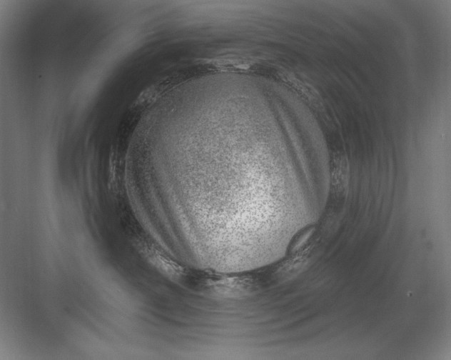 X0000082980430200702160002