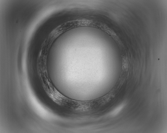 X0000082980431200702160002