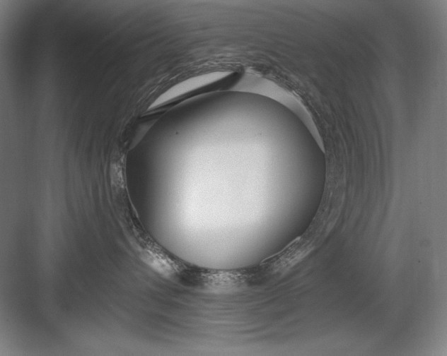 X0000082980432200702160002