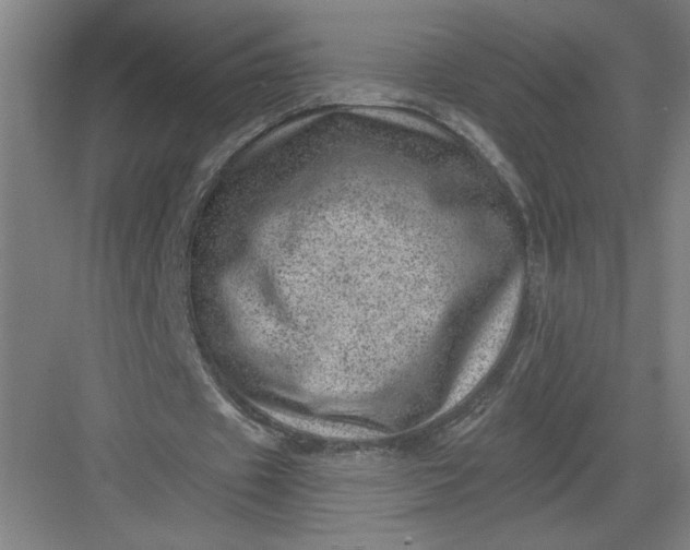 X0000082980433200702160001