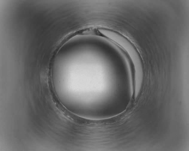 X0000082980434200702160001