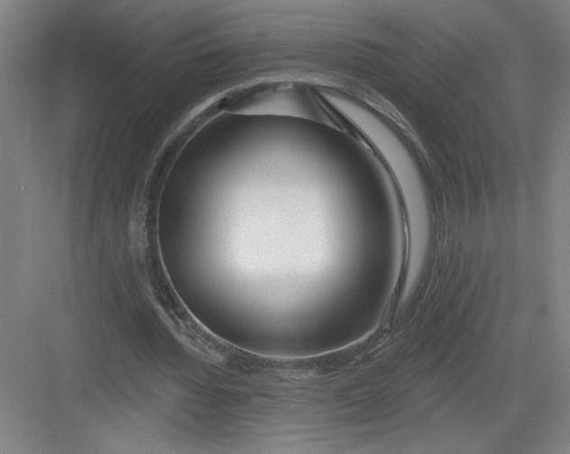 X0000082980436200702160001