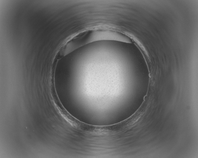 X0000082980437200702160001