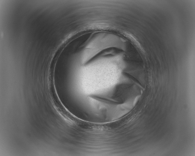 X0000082980439200702160001