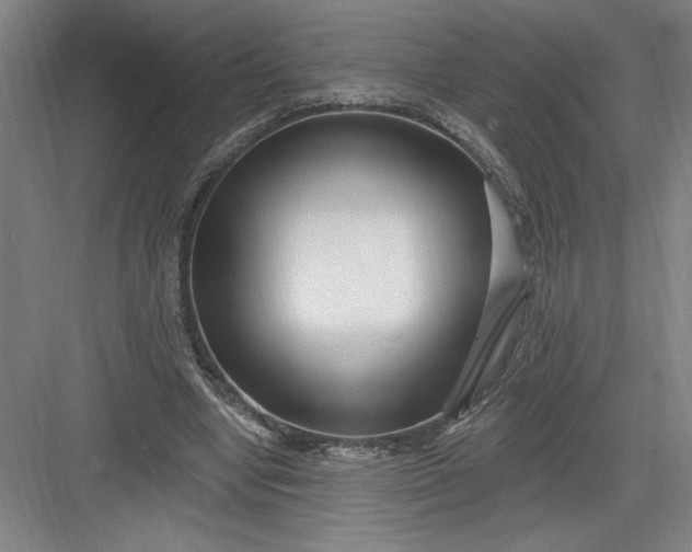 X0000082980442200702160002