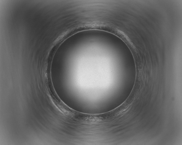 X0000082980443200702160002