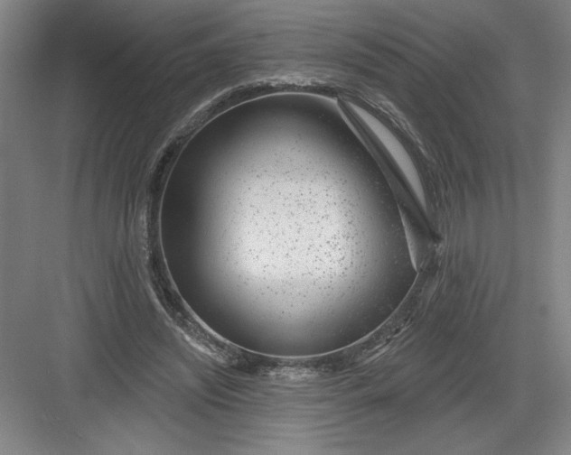 X0000082980444200702160002