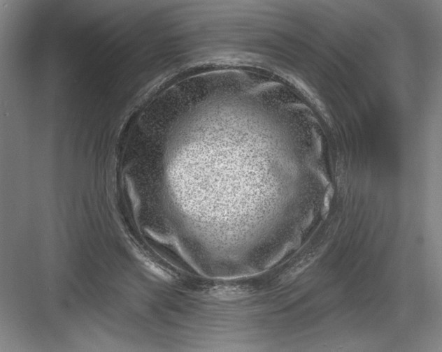 X0000082980445200702160002