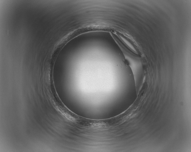 X0000082980446200702160002