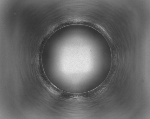 X0000082980447200702160002