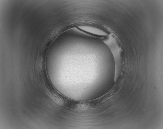 X0000082980451200702160002