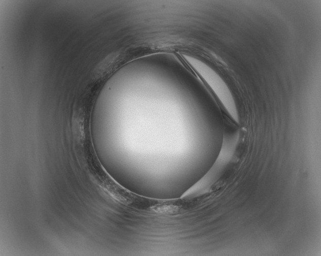 X0000082980452200702160002