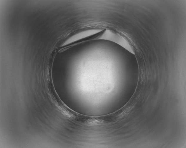 X0000082980453200702160002