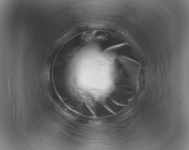 X0000082980454200702160002
