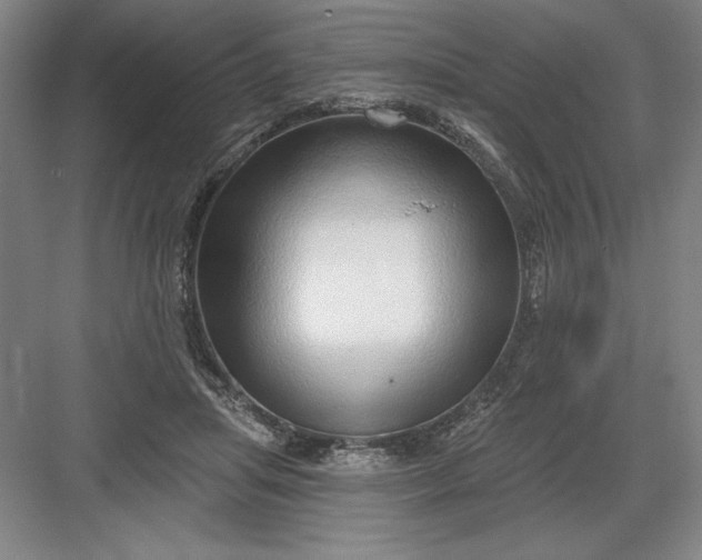 X0000082980455200702160002