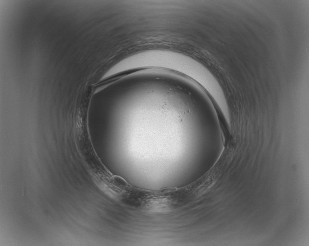 X0000082980456200702160002